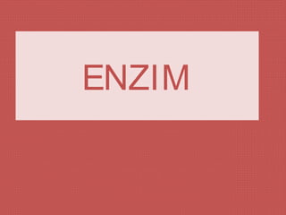 ENZIM
 