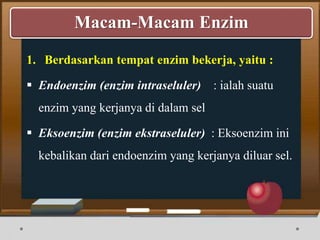 1. Berdasarkan tempat enzim bekerja, yaitu :
 Endoenzim (enzim intraseluler) : ialah suatu
enzim yang kerjanya di dalam sel
 Eksoenzim (enzim ekstraseluler) : Eksoenzim ini
kebalikan dari endoenzim yang kerjanya diluar sel.
Macam-Macam Enzim
 
