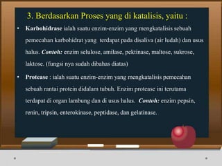 • Karbohidrase ialah suatu enzim-enzim yang mengkatalisis sebuah
pemecahan karbohidrat yang terdapat pada disaliva (air ludah) dan usus
halus. Contoh: enzim selulose, amilase, pektinase, maltose, sukrose,
laktose. (fungsi nya sudah dibahas diatas)
• Protease : ialah suatu enzim-enzim yang mengkatalisis pemecahan
sebuah rantai protein didalam tubuh. Enzim protease ini terutama
terdapat di organ lambung dan di usus halus. Contoh: enzim pepsin,
renin, tripsin, enterokinase, peptidase, dan gelatinase.
3. Berdasarkan Proses yang di katalisis, yaitu :
 