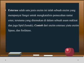 • Esterase salah satu jenis enzim ini ialah sebuah enzim yang
mempunyai fungsi untuk mengkatalisis pemecahan rantai
ester, terutama yang ditemukan di dalam sebuah asam nukleat
dan juga lipid (lemak). Contoh dari enzim esterase yiatu enzim
lipase, dan fosfatase.
 