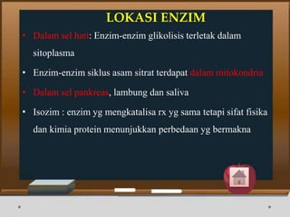LOKASI ENZIM
• Dalam sel hati: Enzim-enzim glikolisis terletak dalam
sitoplasma
• Enzim-enzim siklus asam sitrat terdapat dalam mitokondria
• Dalam sel pankreas, lambung dan saliva
• Isozim : enzim yg mengkatalisa rx yg sama tetapi sifat fisika
dan kimia protein menunjukkan perbedaan yg bermakna
 