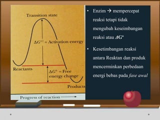 • Enzim  mempercepat
reaksi tetapi tidak
mengubah keseimbangan
reaksi atau ΔGº
• Kesetimbangan reaksi
antara Reaktan dan produk
mencerminkan perbedaan
energi bebas pada fase awal
 