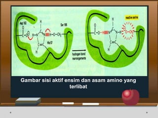 Gambar sisi aktif ensim dan asam amino yang
terlibat
 