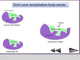 Teori untuk menjelaskan kerja enzim:
 