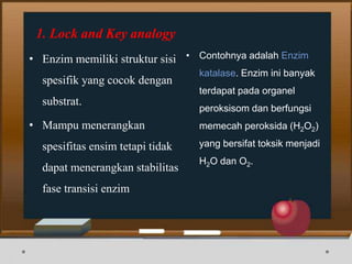 1. Lock and Key analogy
• Enzim memiliki struktur sisi
spesifik yang cocok dengan
substrat.
• Mampu menerangkan
spesifitas ensim tetapi tidak
dapat menerangkan stabilitas
fase transisi enzim
• Contohnya adalah Enzim
katalase. Enzim ini banyak
terdapat pada organel
peroksisom dan berfungsi
memecah peroksida (H2O2)
yang bersifat toksik menjadi
H2O dan O2.
 