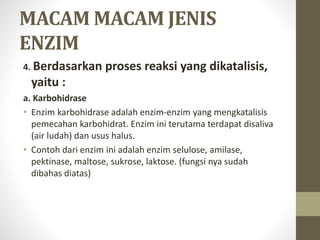 MACAM MACAM JENIS
ENZIM
4. Berdasarkan proses reaksi yang dikatalisis,
yaitu :
a. Karbohidrase
• Enzim karbohidrase adalah enzim-enzim yang mengkatalisis
pemecahan karbohidrat. Enzim ini terutama terdapat disaliva
(air ludah) dan usus halus.
• Contoh dari enzim ini adalah enzim selulose, amilase,
pektinase, maltose, sukrose, laktose. (fungsi nya sudah
dibahas diatas)
 