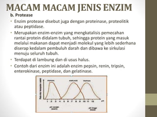 MACAM MACAM JENIS ENZIM
b. Protease
• Enzim protease disebut juga dengan proteinase, proteolitik
atau peptidase.
• Merupakan enzim-enzim yang mengkatalisis pemecahan
rantai protein didalam tubuh, sehingga protein yang masuk
melalui makanan dapat menjadi molekul yang lebih sederhana
diserap kedalam pembuluh darah dan dibawa ke sirkulasi
menuju seluruh tubuh.
• Terdapat di lambung dan di usus halus.
• Contoh dari enzim ini adalah enzim pepsin, renin, tripsin,
enterokinase, peptidase, dan gelatinase.
 