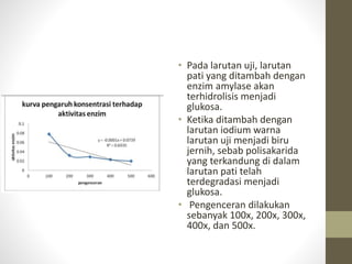• Pada larutan uji, larutan
pati yang ditambah dengan
enzim amylase akan
terhidrolisis menjadi
glukosa.
• Ketika ditambah dengan
larutan iodium warna
larutan uji menjadi biru
jernih, sebab polisakarida
yang terkandung di dalam
larutan pati telah
terdegradasi menjadi
glukosa.
• Pengenceran dilakukan
sebanyak 100x, 200x, 300x,
400x, dan 500x.
 