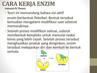 CARA KERJA ENZIM
Induced-fit Theory
• Teori ini memandang bahwa sisi aktif
enzim berbentuk fleksibel. Bentuk tersebut
kemudian mengalami modifikasi saat substrat
memasukinya.
• Setelah proses modifikasi selesai, subsrat
membentuk kompleks untuk memulai reaksi
kimia yang lebih cepat. Setelah proses tersebut
menghasilkan produk yang diinginkan, enzim
tersebut melepaskan diri dan kembali ke bentuk
semula.
 