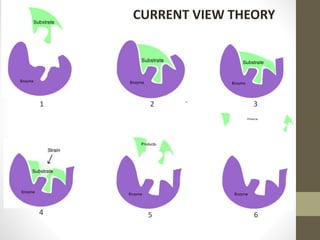 CURRENT VIEW THEORY
1 2 3
654
 