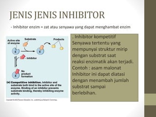 JENIS JENIS INHIBITOR
. Inhibitor kompetitif
Senyawa tertentu yang
mempunyai struktur mirip
dengan substrat saat
reaksi enzimatik akan terjadi.
Contoh : asam malonat
Inhibitor ini dapat diatasi
dengan menambah jumlah
substrat sampai
berlebihan.
- Inhibitor enzim = zat atau senyawa yang dapat menghambat enzim
 