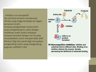 . Inhibitor non kompetitif
Zat-zat kimia tertentu mempunyai
afinitas yang tinggi terhadap ion logam
penyusun enzim.
Senyawa penghambat untuk enzim
yang mengandung Fe, yaitu dengan
terjadinya reaksi antara senyawa-
senyawa tersebut dengan ion Fe yang
menyebabkan enzim menjadi tidak aktif.
Merkuri (Hg) dan perak (Ag) merupakan
penghambat enzim yang mengandung
gugusan sulfhidril (-SH).
 