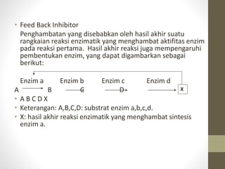 • Feed Back Inhibitor
Penghambatan yang disebabkan oleh hasil akhir suatu
rangkaian reaksi enzimatik yang menghambat aktifitas enzim
pada reaksi pertama. Hasil akhir reaksi juga mempengaruhi
pembentukan enzim, yang dapat digambarkan sebagai
berikut:
Enzim a Enzim b Enzim c Enzim d
A B C D
• A B C D X
• Keterangan: A,B,C,D: substrat enzim a,b,c,d.
• X: hasil akhir reaksi enzimatik yang menghambat sintesis
enzim a.
X
 