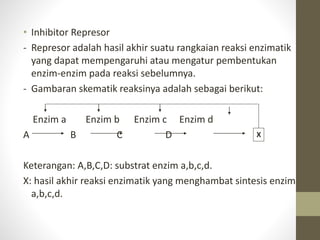• Inhibitor Represor
- Represor adalah hasil akhir suatu rangkaian reaksi enzimatik
yang dapat mempengaruhi atau mengatur pembentukan
enzim-enzim pada reaksi sebelumnya.
- Gambaran skematik reaksinya adalah sebagai berikut:
Enzim a Enzim b Enzim c Enzim d
A B C D
Keterangan: A,B,C,D: substrat enzim a,b,c,d.
X: hasil akhir reaksi enzimatik yang menghambat sintesis enzim
a,b,c,d.
X
 