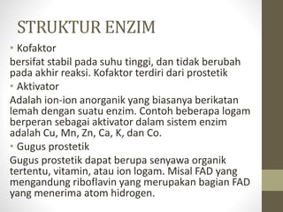 STRUKTUR ENZIM
• Kofaktor
bersifat stabil pada suhu tinggi, dan tidak berubah
pada akhir reaksi. Kofaktor terdiri dari prostetik
• Aktivator
Adalah ion-ion anorganik yang biasanya berikatan
lemah dengan suatu enzim. Contoh beberapa logam
berperan sebagai aktivator dalam sistem enzim
adalah Cu, Mn, Zn, Ca, K, dan Co.
• Gugus prostetik
Gugus prostetik dapat berupa senyawa organik
tertentu, vitamin, atau ion logam. Misal FAD yang
mengandung riboflavin yang merupakan bagian FAD
yang menerima atom hidrogen.
 