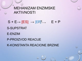 S + E→ [ES] → [EP] E + P
S-SUPSTRAT
E-ENZIM
P-PROIZVOD REACIJE
K-KONSTANTA REACIONE BRZINE
K
MEHANIZAM ENZIMSKE
AKTIVNOSTI
 