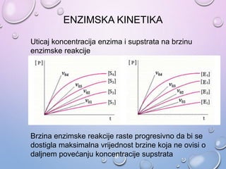 ENZIMSKA KINETIKA
Uticaj koncentracija enzima i supstrata na brzinu
enzimske reakcije
Brzina enzimske reakcije raste progresivno da bi se
dostigla maksimalna vrijednost brzine koja ne ovisi o
daljnem povećanju koncentracije supstrata
 