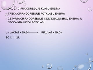• DRUGA CIFRA ODREĐUJE KLASU ENZIMA
• TREĆA CIFRA ODREĐUJE POTKLASU ENZIMA
• ČETVRTA CIFRA ODREĐUJE INDIVIDUALNI BROJ ENZIMA, U
ODGOVARAJUĆOJ POTKLASI
L – LAKTAT + NAD + PIRUVAT + NADH
EC 1.1.1.27.
 