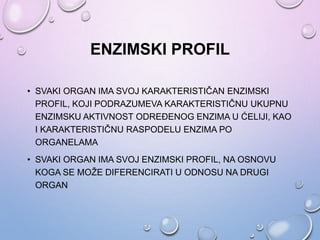 ENZIMSKI PROFIL
• SVAKI ORGAN IMA SVOJ KARAKTERISTIČAN ENZIMSKI
PROFIL, KOJI PODRAZUMEVA KARAKTERISTIČNU UKUPNU
ENZIMSKU AKTIVNOST ODREĐENOG ENZIMA U ĆELIJI, KAO
I KARAKTERISTIČNU RASPODELU ENZIMA PO
ORGANELAMA
• SVAKI ORGAN IMA SVOJ ENZIMSKI PROFIL, NA OSNOVU
KOGA SE MOŽE DIFERENCIRATI U ODNOSU NA DRUGI
ORGAN
 