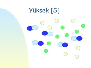 Yüksek [S]
 