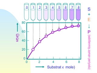 0   1   2   3   4   5   6   7   8
                                                S
                                                +
                                                E
       80
                                                ↓
       60                                       P
Ürün




                                                (sabitlenmiş zaman periyodu)
       40

       20

       0
            0       2       4       6       8
                        Substrat ( mole)
 