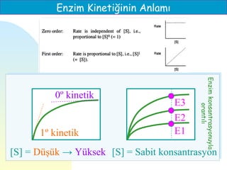 Enzim Kinetiğinin Anlamı




                                          Enzim konsantrasyonuyla
          0º kinetik
                                     E3




                                                  orantılı
                                     E2
      1º kinetik                     E1

[S] = Düşük → Yüksek [S] = Sabit konsantrasyon
 