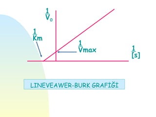 1
     V0

1
Km
            1
            Vmax          1
                          [s]



LINEVEAWER-BURK GRAFİĞİ
 
