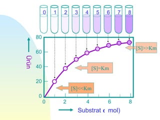 0   1   2    3   4    5   6   7   8



       80

                                                  [S]>>Km
       60
Ürün




       40                        [S]=Km

       20
                        [S]<<Km
       0
            0       2        4        6       8
                          Substrat ( mol)
 