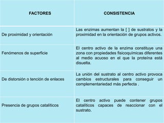 FACTORES CONSISTENCIA
De proximidad y orientación
Las enzimas aumentan la [ ] de sustratos y la
proximidad en la orientación de grupos activos.
Fenómenos de superficie
El centro activo de la enzima constituye una
zona con propiedades fisicoquímicas diferentes
al medio acuoso en el que la proteína está
disuelta.
De distorsión o tención de enlaces
La unión del sustrato al centro activo provoca
cambios estructurales para conseguir un
complementariedad más perfecta .
Presencia de grupos catalíticos
El centro activo puede contener grupos
catalíticos capaces de reaccionar con el
sustrato.
 