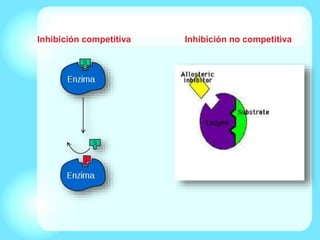 Inhibición competitiva Inhibición no competitiva
 