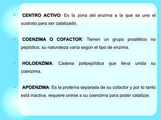  CENTRO ACTIVO: Es la zona del enzima a la que se une el
sustrato para ser catalizado.
 COENZIMA O COFACTOR: Tienen un grupo prostético no
peptídico, su naturaleza varía según el tipo de enzima.
 HOLOENZIMA: Cadena polipeptídica que lleva unida su
coenzima.
 APOENZIMA: Es la proteína separada de su cofactor y por lo tanto
está inactiva, requiere unirse a su coenzima para poder catalizar.
 