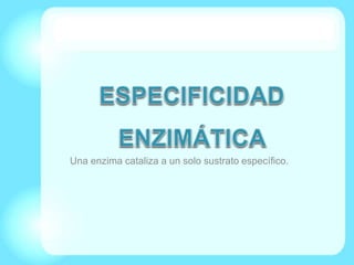 Una enzima cataliza a un solo sustrato específico.
 