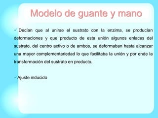 Modelo de guante y mano
 Decían que al unirse el sustrato con la enzima, se producían
deformaciones y que producto de esta unión algunos enlaces del
sustrato, del centro activo o de ambos, se deformaban hasta alcanzar
una mayor complementariedad lo que facilitaba la unión y por ende la
transformación del sustrato en producto.
Ajuste inducido
 