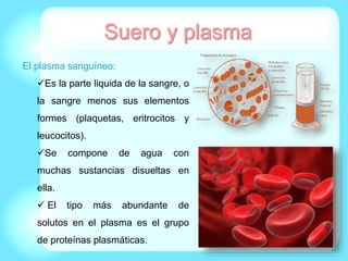 El plasma sanguíneo:
Es la parte liquida de la sangre, o
la sangre menos sus elementos
formes (plaquetas, eritrocitos y
leucocitos).
Se compone de agua con
muchas sustancias disueltas en
ella.
 El tipo más abundante de
solutos en el plasma es el grupo
de proteínas plasmáticas.
 