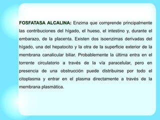 FOSFATASA ALCALINA: Enzima que comprende principalmente
las contribuciones del hígado, el hueso, el intestino y, durante el
embarazo, de la placenta. Existen dos isoenzimas derivadas del
hígado, una del hepatocito y la otra de la superficie exterior de la
membrana canalicular biliar. Probablemente la última entra en el
torrente circulatorio a través de la vía paracelular, pero en
presencia de una obstrucción puede distribuirse por todo el
citoplasma y entrar en el plasma directamente a través de la
membrana plasmática.
 