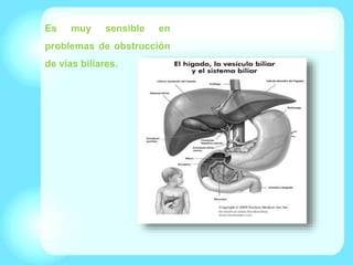 Es muy sensible en
problemas de obstrucción
de vías biliares.
 