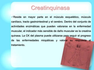 Reside en mayor parte en el músculo esquelético, músculo
cardíaco, tracto gastrointestinal y el cerebro. Dentro del conjunto de
actividades enzimáticas que pueden valorarse en la enfermedad
muscular, el indicador más sensible de daño muscular es la creatina
quinasa. La CK del plasma puede utilizarse para seguir el progreso
de las enfermedades miopáticas y valorar su respuesta al
tratamiento.
Creatinquinasa
 