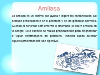 La amilasa es un enzima que ayuda a digerir los carbohidratos. Se
produce principalmente en el páncreas y en las glándulas salivales.
Cuando el páncreas está enfermo o inflamado, se libera amilasa en
la sangre. Este examen se realiza principalmente para diagnosticar
o vigilar enfermedades del páncreas. También puede detectar
algunos problemas del tubo digestivo.
Amilasa
 