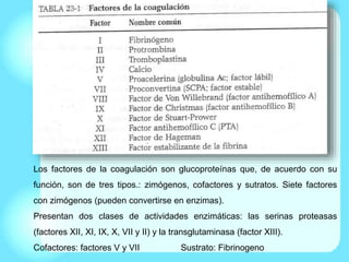 Los factores de la coagulación son glucoproteínas que, de acuerdo con su
función, son de tres tipos.: zimógenos, cofactores y sutratos. Siete factores
con zimógenos (pueden convertirse en enzimas).
Presentan dos clases de actividades enzimáticas: las serinas proteasas
(factores XII, XI, IX, X, VII y II) y la transglutaminasa (factor XIII).
Cofactores: factores V y VII Sustrato: Fibrinogeno
 