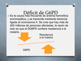 Déficit de G6PD
O Es la causa más frecuente de anemia hemolítica
enzimopática, y se transmite mediante herencia
ligada al cromosoma X. Se cree que hay más de
200 millones de personas afectadas, la razón de
esto es que el DG6PD confiere resistencia a la
malaria.
Resistencia
a la malaria

G6PD

 