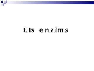 Els enzims 