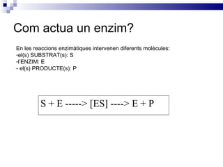Com actua un enzim? En les reaccions enzimàtiques intervenen diferents molècules:  el(s) SUBSTRAT(s): S l’ENZIM: E el(s) PRODUCTE(s): P S + E -----> [ES   ----> E + P 