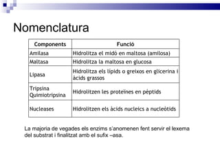 Nomenclatura La majoria de vegades els enzims s’anomenen fent servir el lexema del substrat i finalitzat amb el sufix –asa. Components Funció Amilasa Hidrolitza el midó en maltosa (amilosa) Maltasa Hidrolitza la maltosa en glucosa Lipasa Hidrolitza els lípids o greixos en glicerina i àcids grassos Tripsina Quimiotripsina Hidrolitzen les proteïnes en pèptids Nucleases Hidrolitzen els àcids nucleics a nucleòtids 