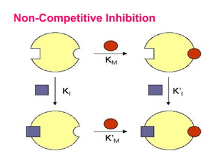 Non-Competitive Inhibition
 
