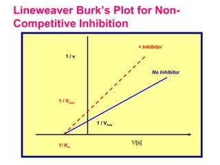Lineweaver Burk’s Plot for Non-
Competitive Inhibition
1/[s]1/ Km
1 / v
1 / Vmax
1 / Vmax
+ Inhibitor
No Inhibitor
 