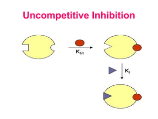 Uncompetitive Inhibition
 