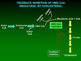 FEEDBACK INHIBITION OF HMG CoA
REDUCTASE BY CHOLESTEROL
Acetyl
CoA
Acetyl
CoA
HMG CoA
Mevalonic acid + CoA
HMG CoA
reductase
Cholesterol
Feedback
inhibition
Acetoacetyl
CoA
> 25 steps
 