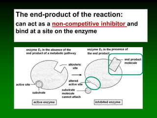 The end-product of the reaction:
can act as a non-competitive inhibitor and
bind at a site on the enzyme
 