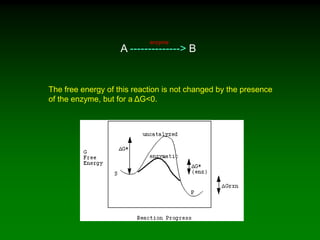 The free energy of this reaction is not changed by the presence
of the enzyme, but for a ΔG<0.
A --------------> B
enzyme
 