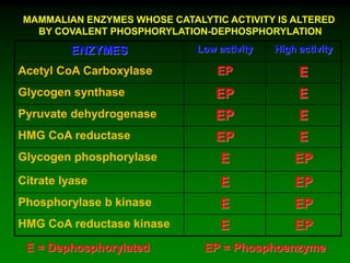 ENZYMES Low activity High activity
Acetyl CoA Carboxylase EP E
Glycogen synthase EP E
Pyruvate dehydrogenase EP E
HMG CoA reductase EP E
Glycogen phosphorylase E EP
Citrate lyase E EP
Phosphorylase b kinase E EP
HMG CoA reductase kinase E EP
MAMMALIAN ENZYMES WHOSE CATALYTIC ACTIVITY IS ALTERED
BY COVALENT PHOSPHORYLATION-DEPHOSPHORYLATION
E = Dephosphorylated EP = Phosphoenzyme
 